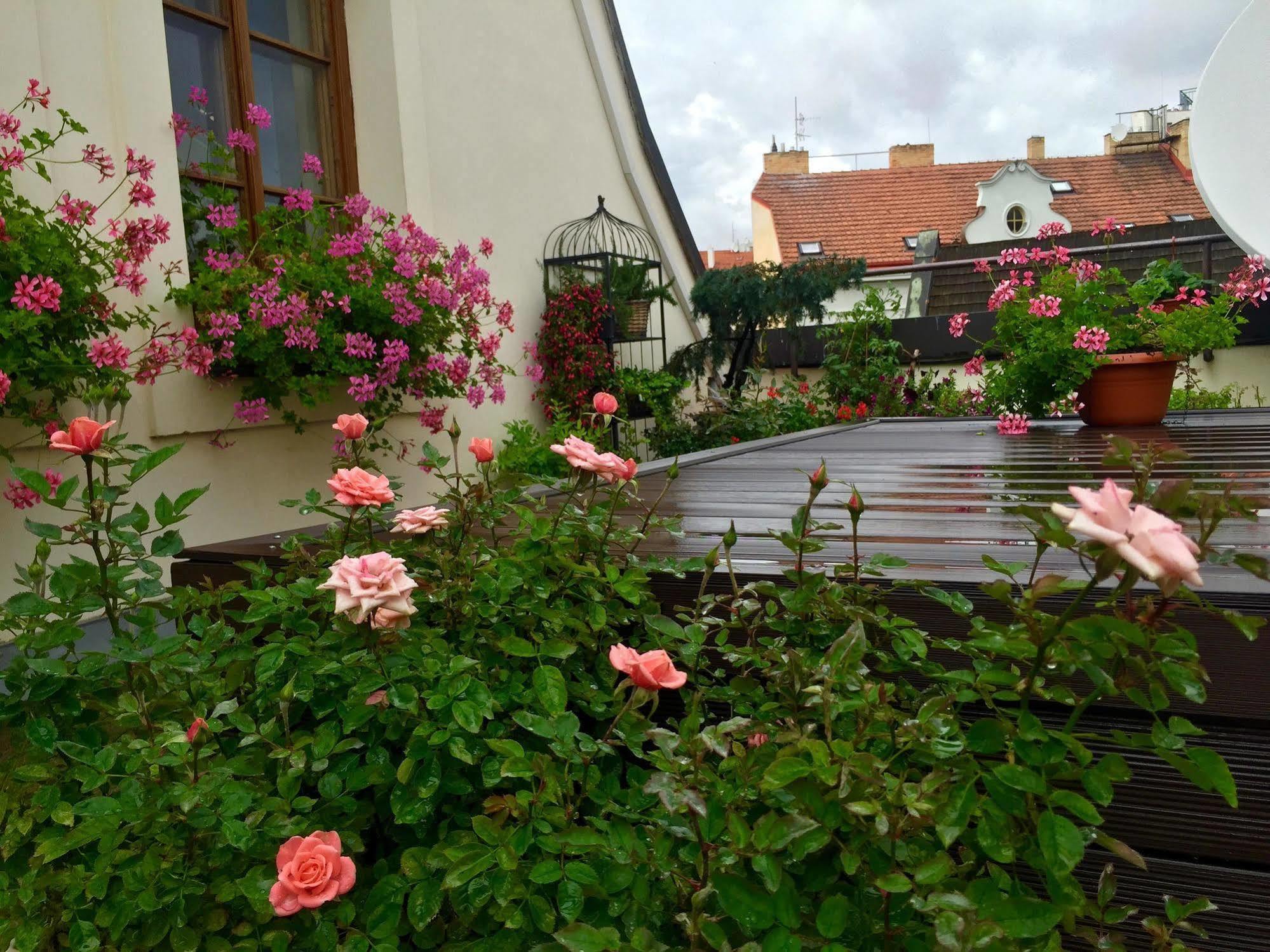 Apartment Old Town Boutique Prag
